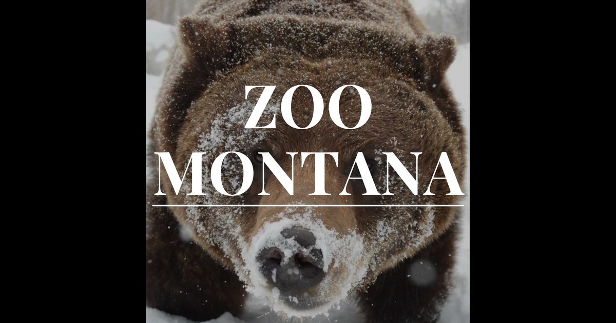 Zoo Montana