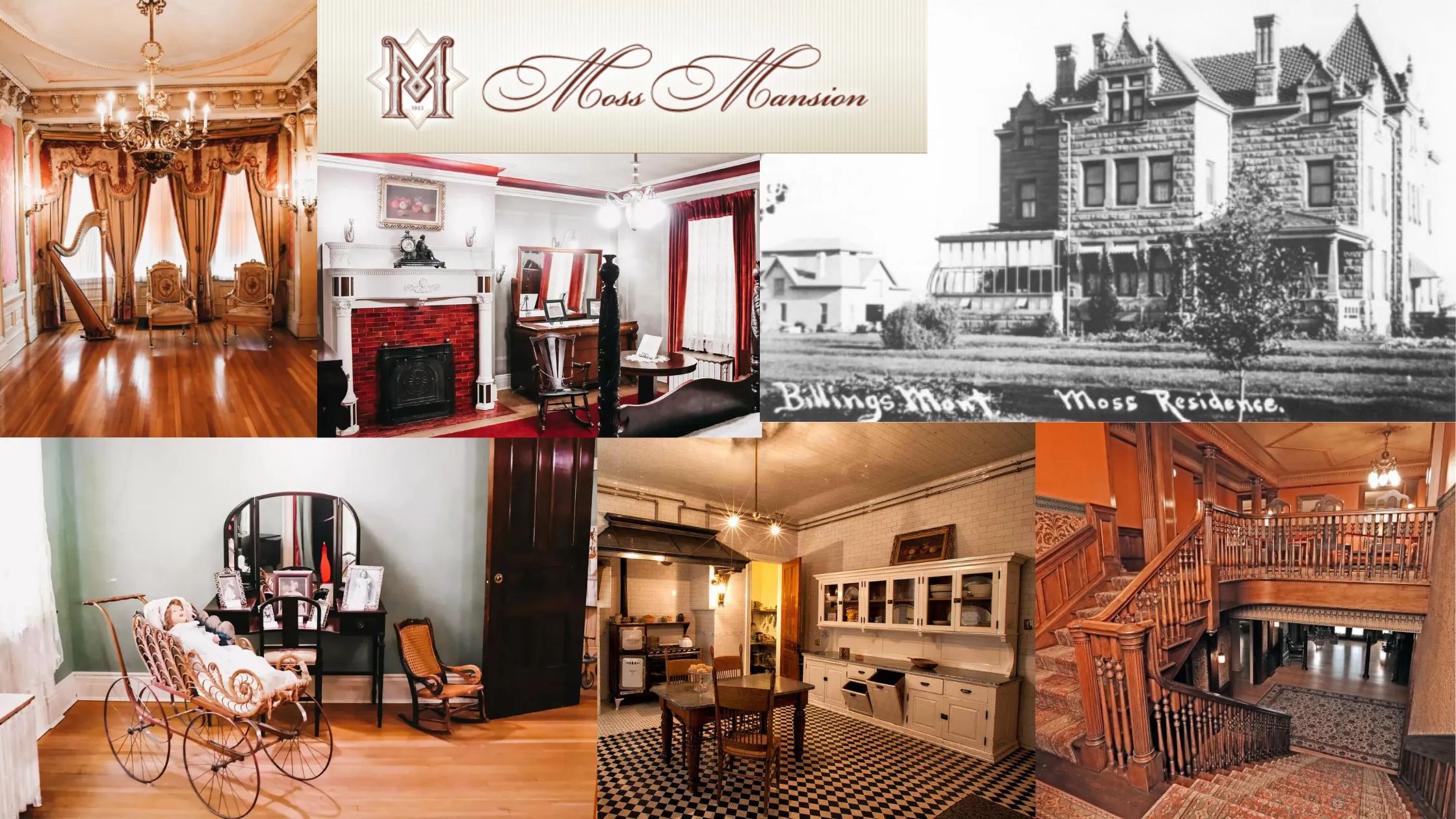 Murder Mystery Dinner