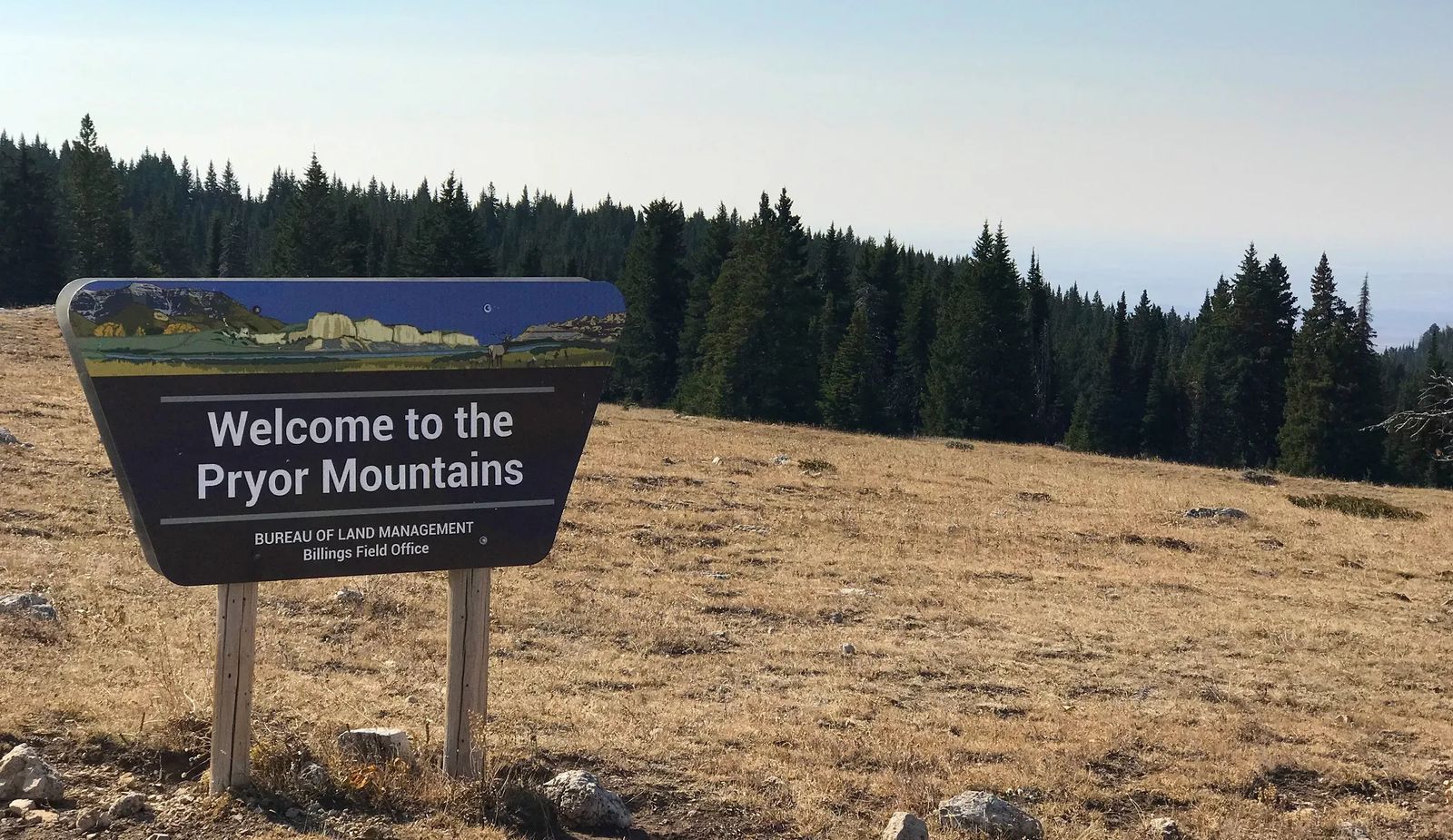 Pryor Mountains