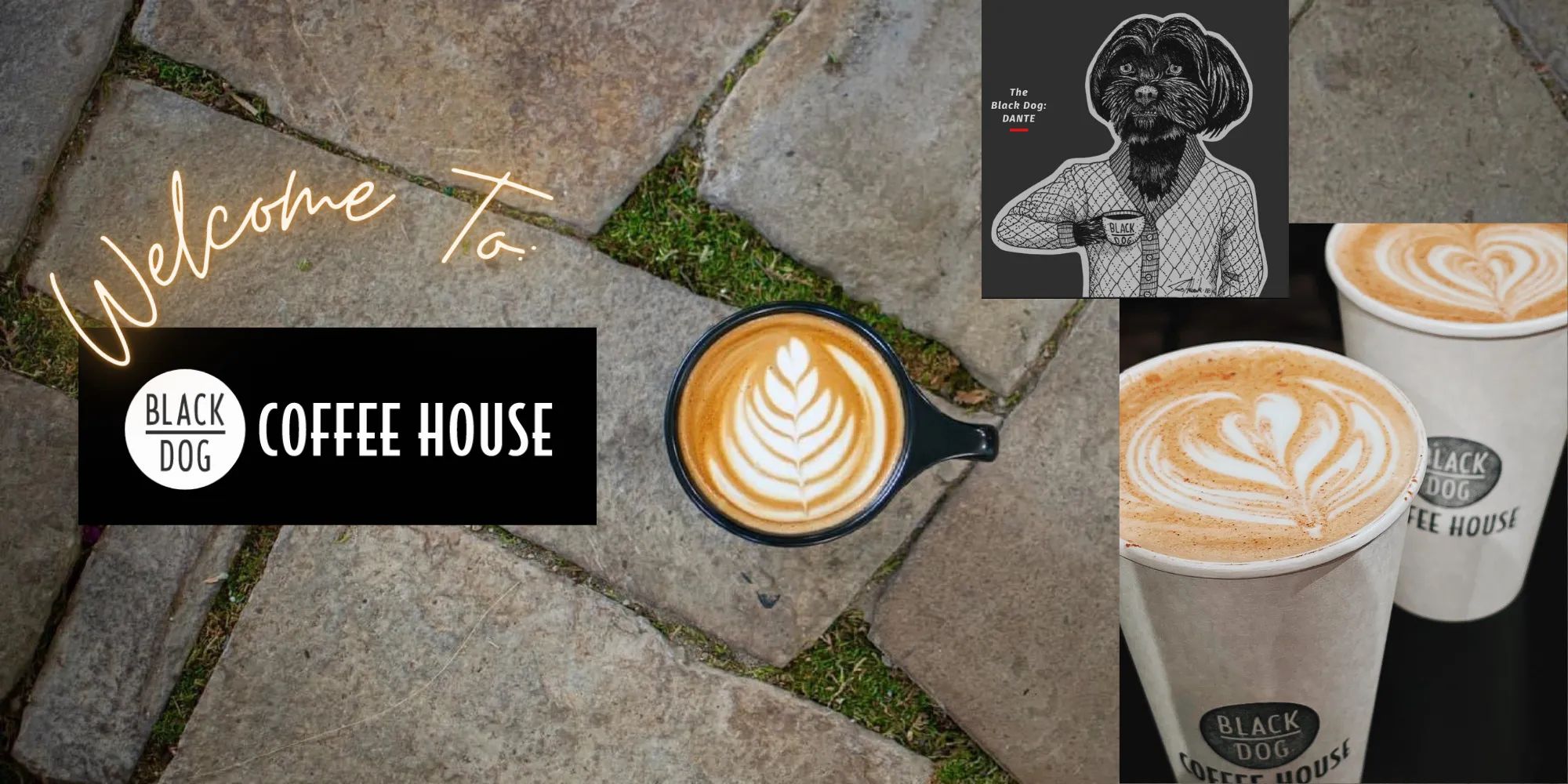 to Black Dog Coffee House!