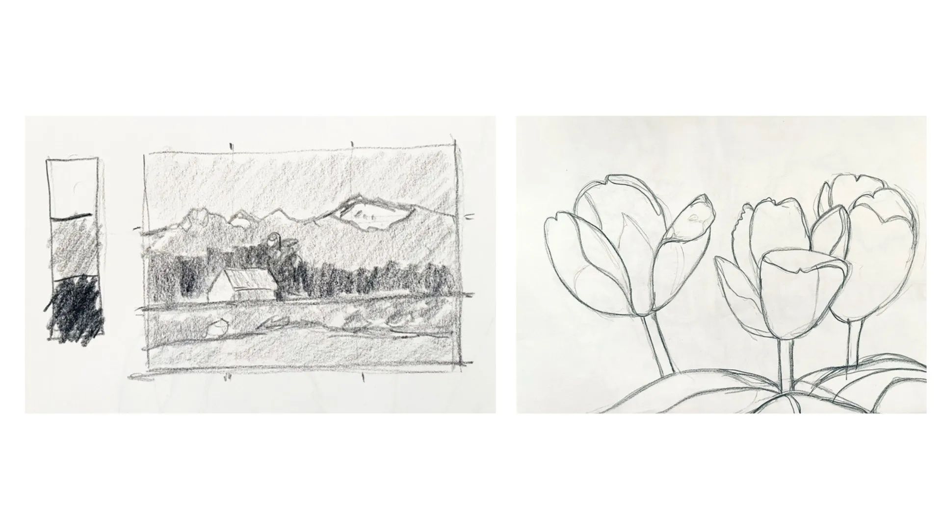 Creating Sketches to Paint From with Jess Rice (4wk series) picture