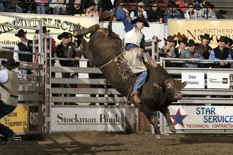 Chase Hawks Rodeo at the MetraPark