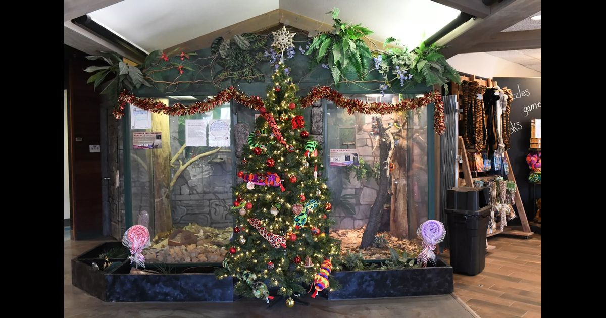 Holiday Happenings at the ZooMontana