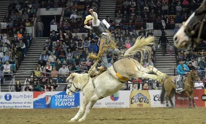 NILE Stock Show & Rodeo at the Metra Park